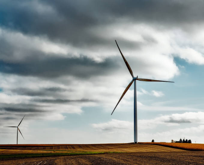 La restauración ecológica de los taludes de carretera